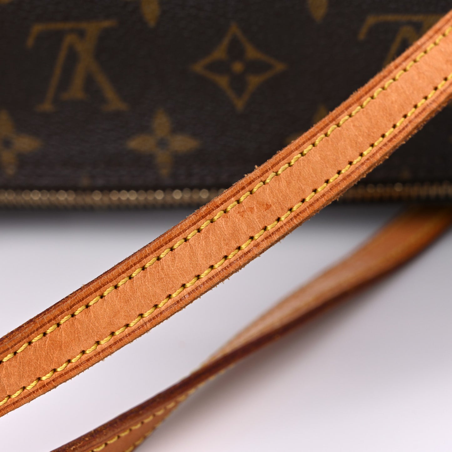 Monogram Papillon 30 With Companion