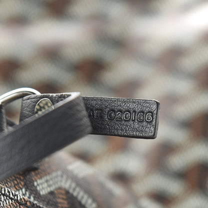 Goyard Goyardine Saint Louis PM Black 8 of 10