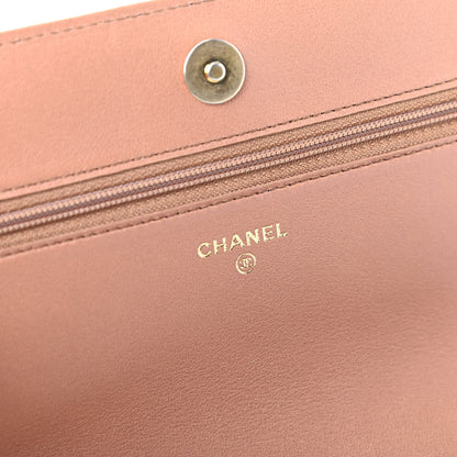 Chanel Lambskin Quilted Chanel 19 Wallet On Chain WOC Brown 8 of 10