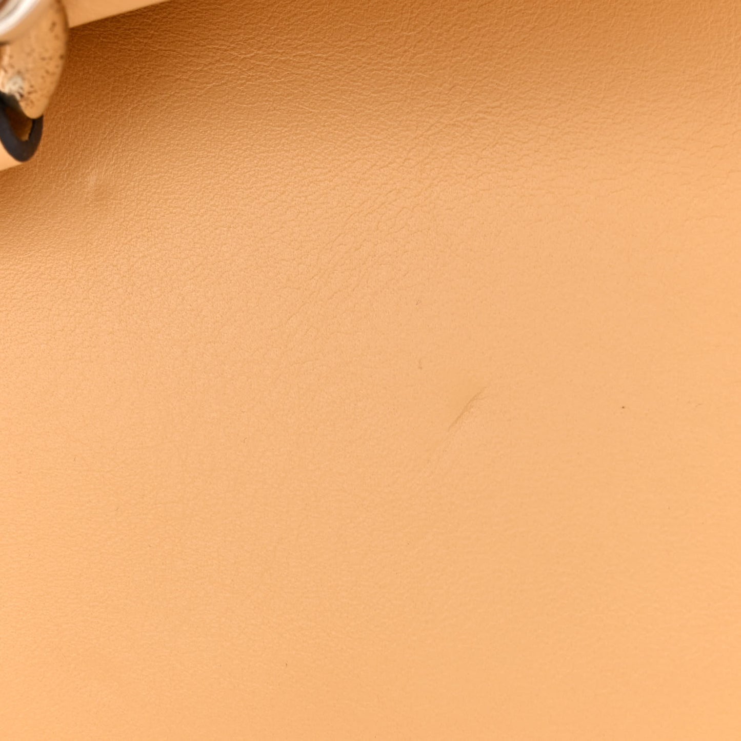 Suede Calfskin Medium Faye Shoulder Bag Misty Beige