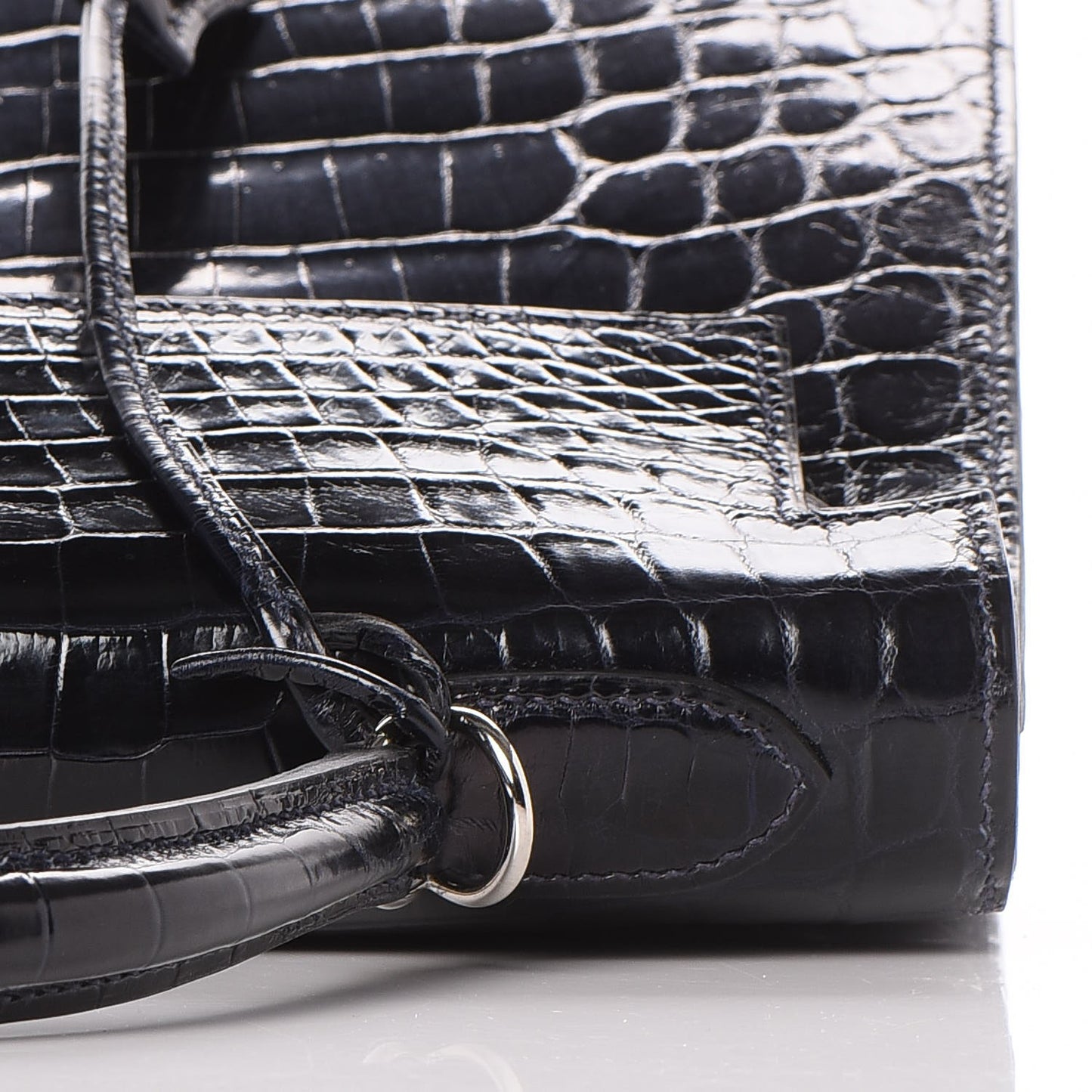 Shiny Niloticus Crocodile Kelly Sellier 32