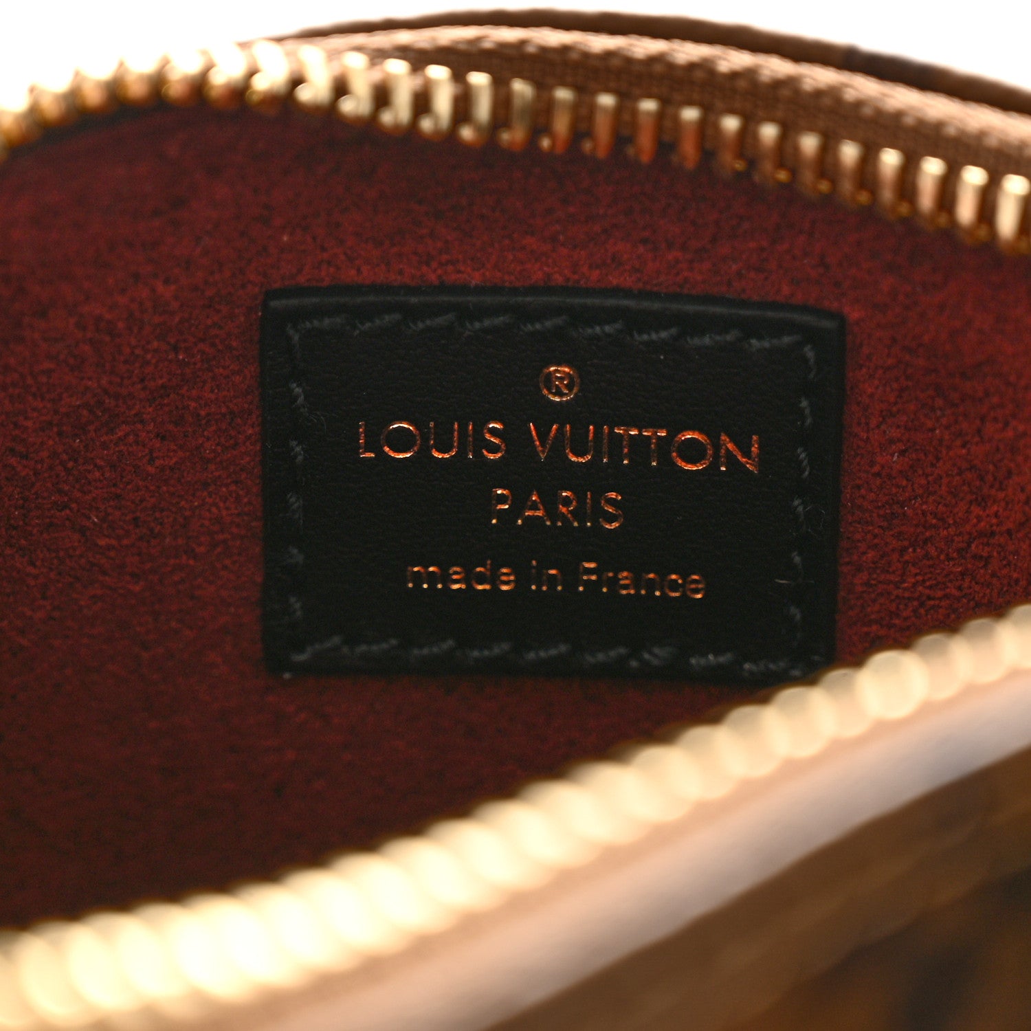 Louis Vuitton Reverse Monogram Dog Animation Nano Speedy 6 of 9