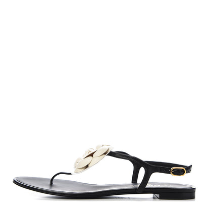 Chanel Lambskin Camellia Thong Sandals 41 Black White 1 of 10