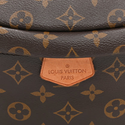 Louis Vuitton Monogram Bumbag 7 of 10