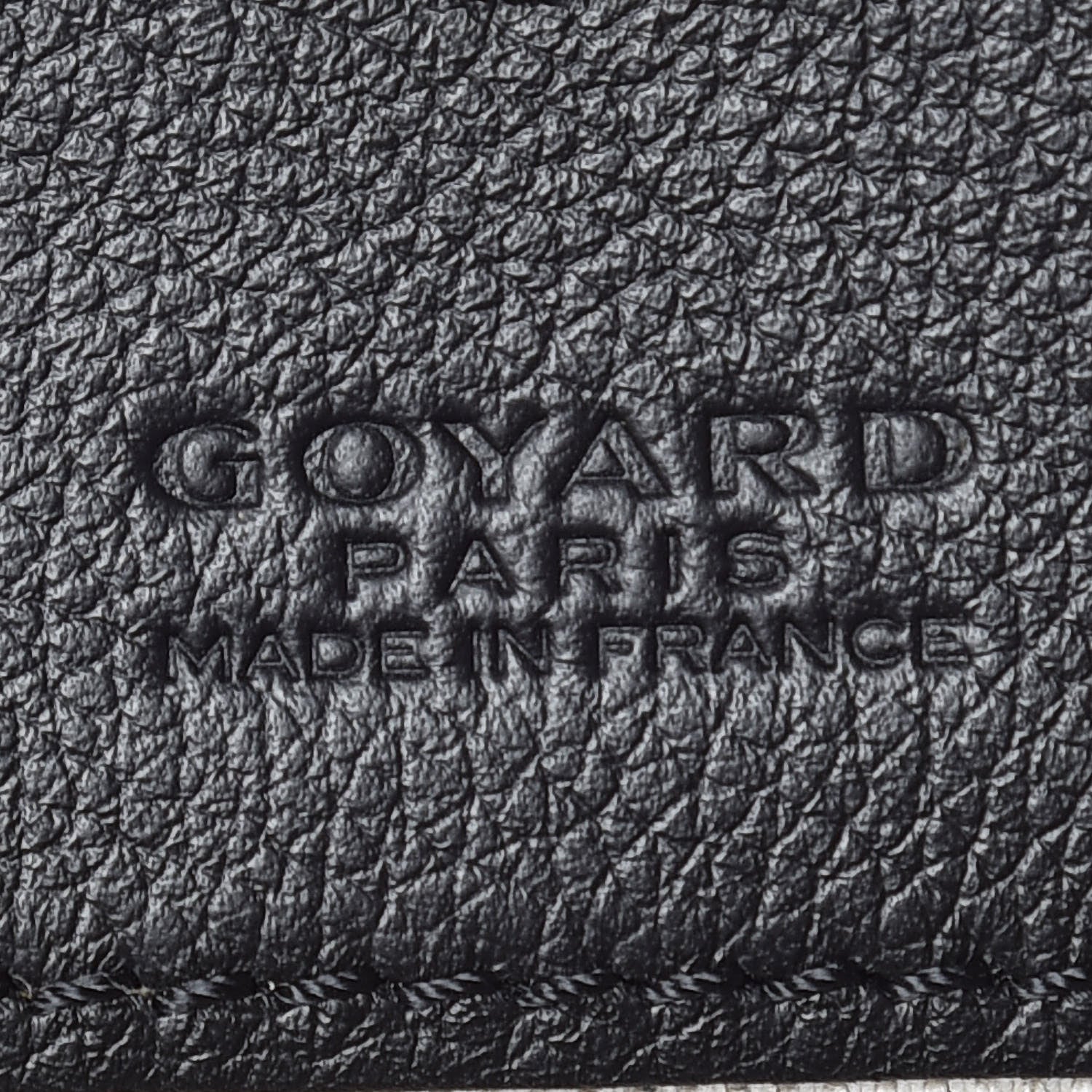 Goyard Goyardine Saint Louis PM Black 9 of 11