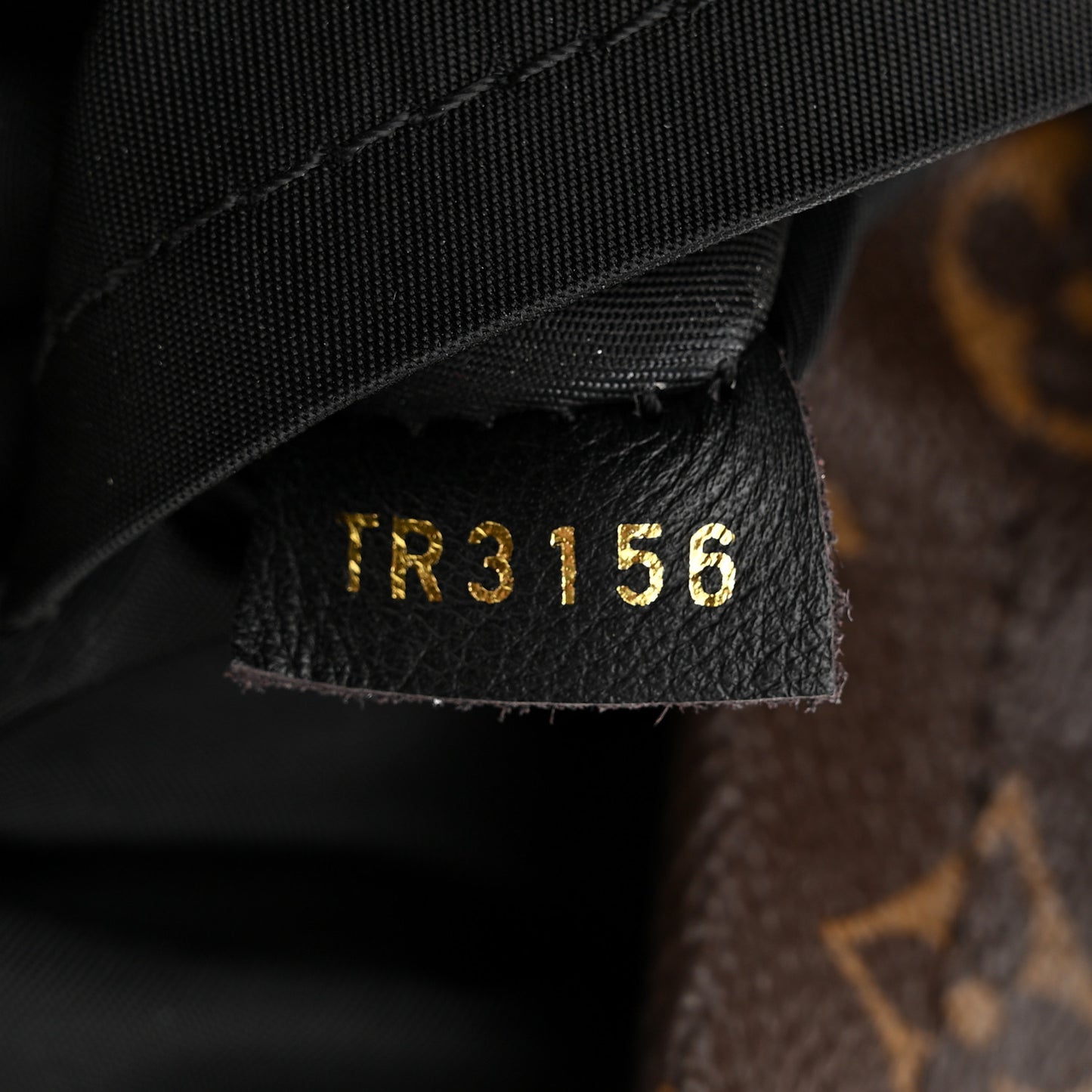 Monogram Palm Springs Backpack PM