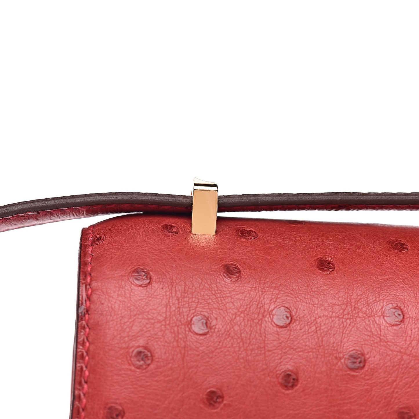 Ostrich Constance 18 Rouge Vif