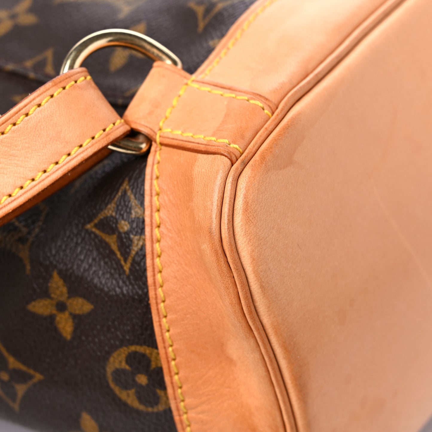 Monogram Montsouris GM Backpack