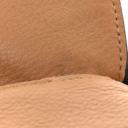 Loewe X KEN PRICE Calfskin Small La Palme Puzzle Bag Amber 11 of 12
