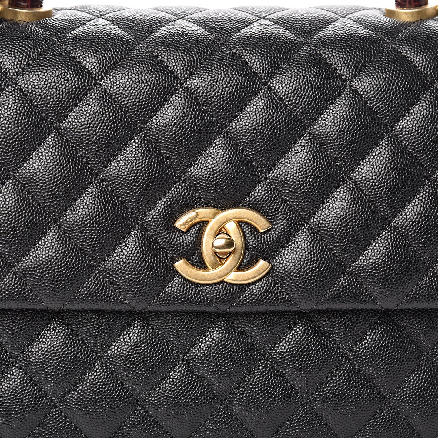 Caviar Lizard Quilted Medium Coco Handle Flap Black