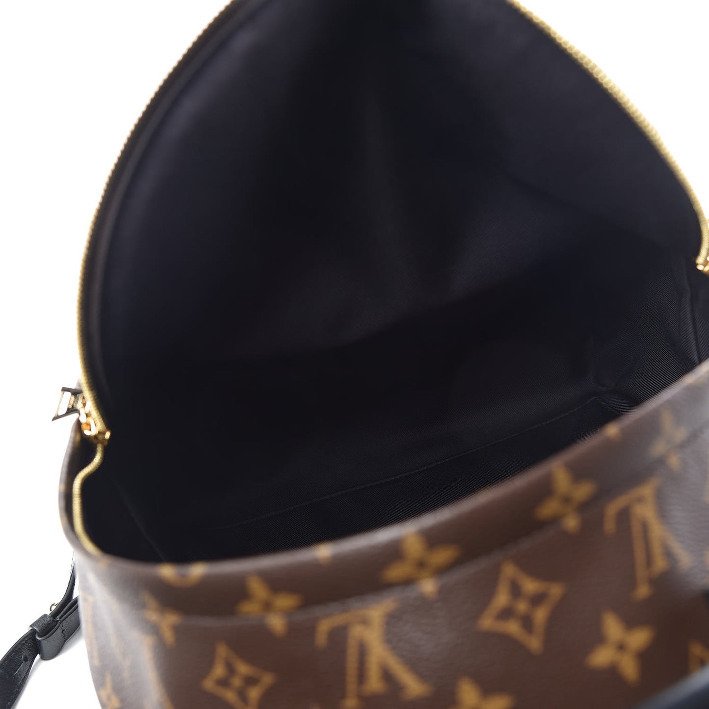 Monogram Palm Springs Backpack MM