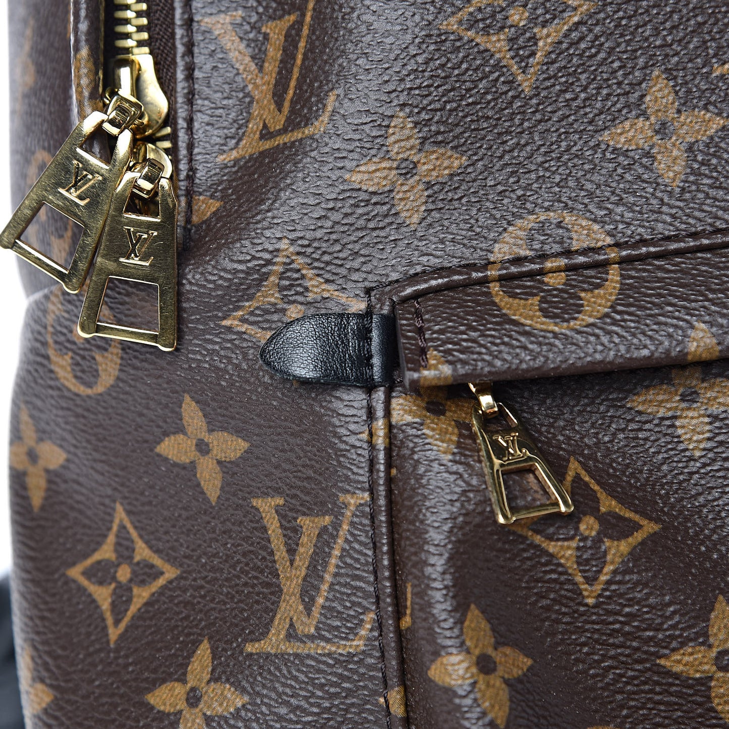 Monogram Palm Springs Backpack MM
