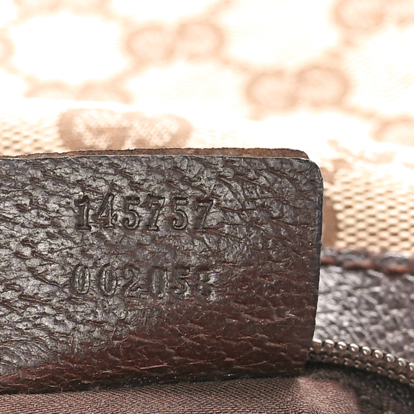 Monogram Medium Pop Hobo Dark Brown