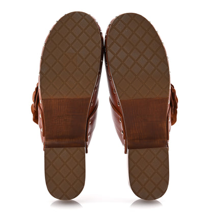 Chanel Calfskin Camellia Clogs 39 Dark Orange 6 of 11
