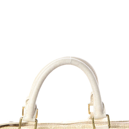 Louis Vuitton Mini Lin Speedy 30 Dune 23 of 24
