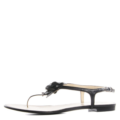 Chanel Lambskin Camellia Thong Sandals 41 11 Black 1 of 14