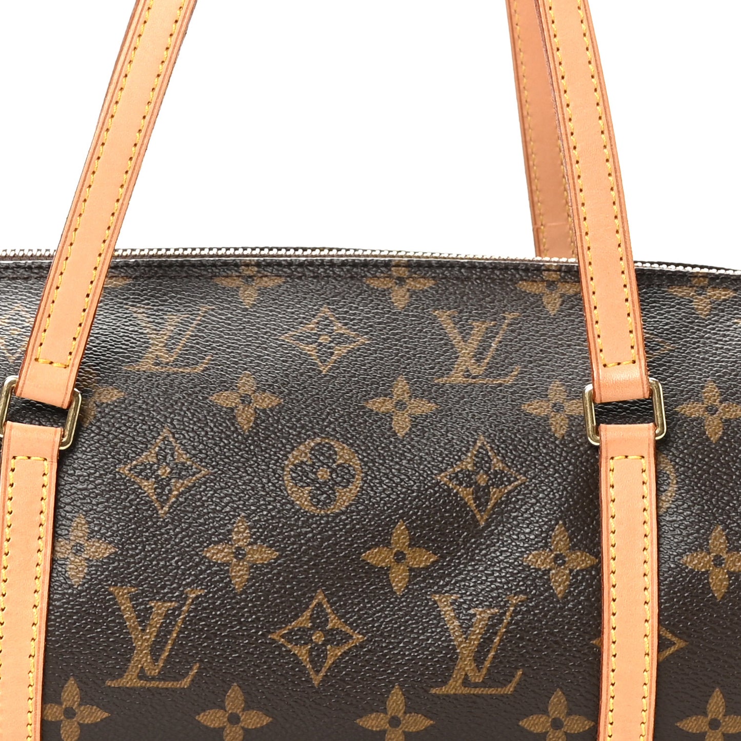 Monogram Papillon 30 with Companion