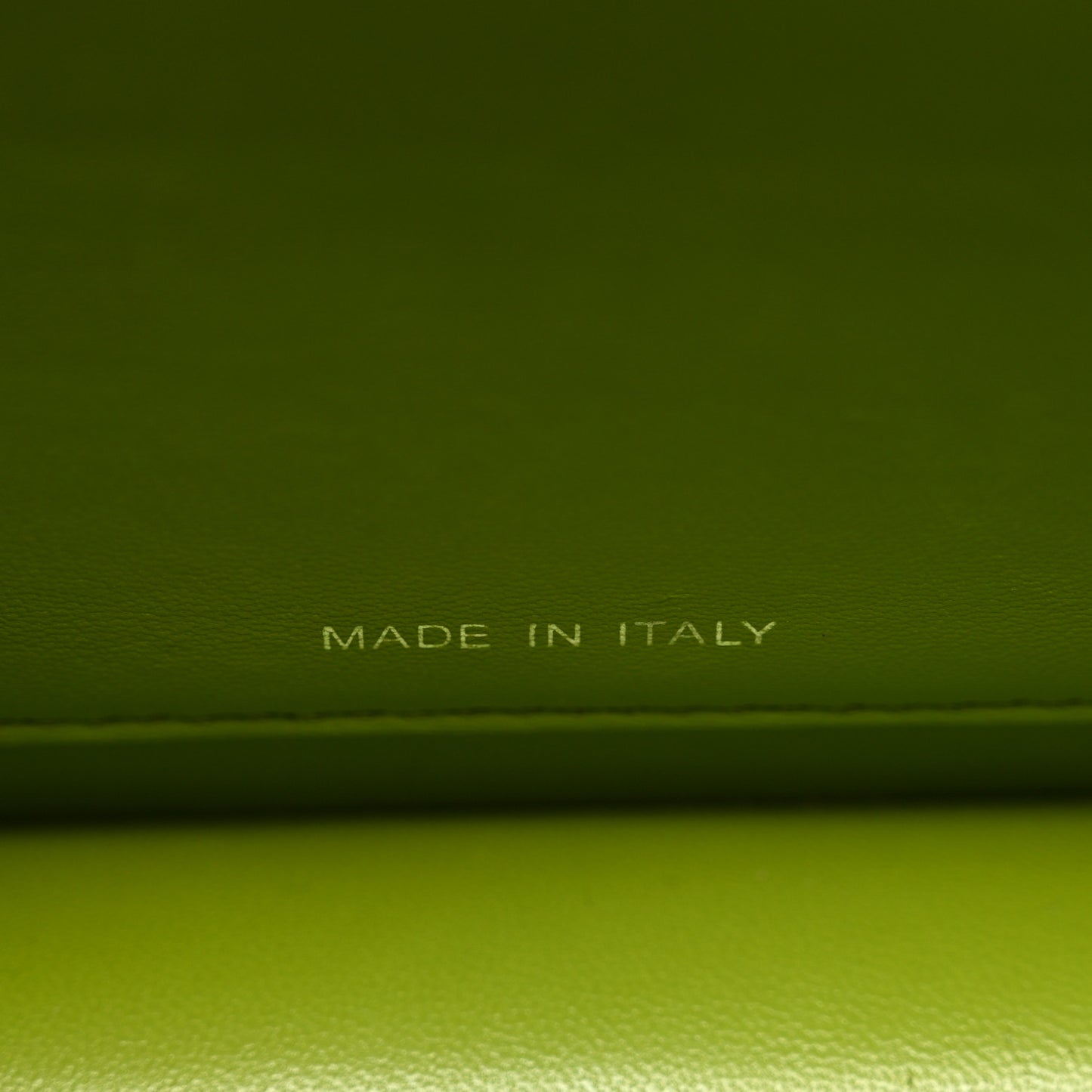 Shiny Nappa Petite Peekaboo I SEE U Satchel Wasabi