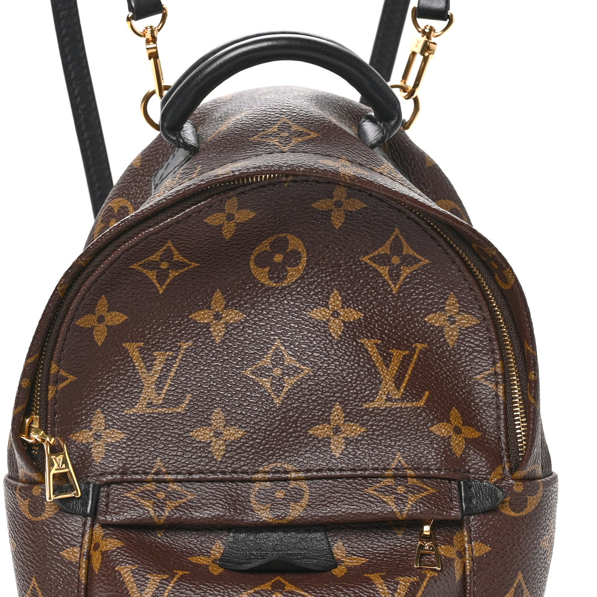 Monogram Palm Springs Backpack Mini