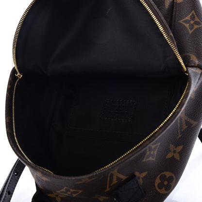 Louis Vuitton Monogram Palm Springs Backpack Mini 5 of 7
