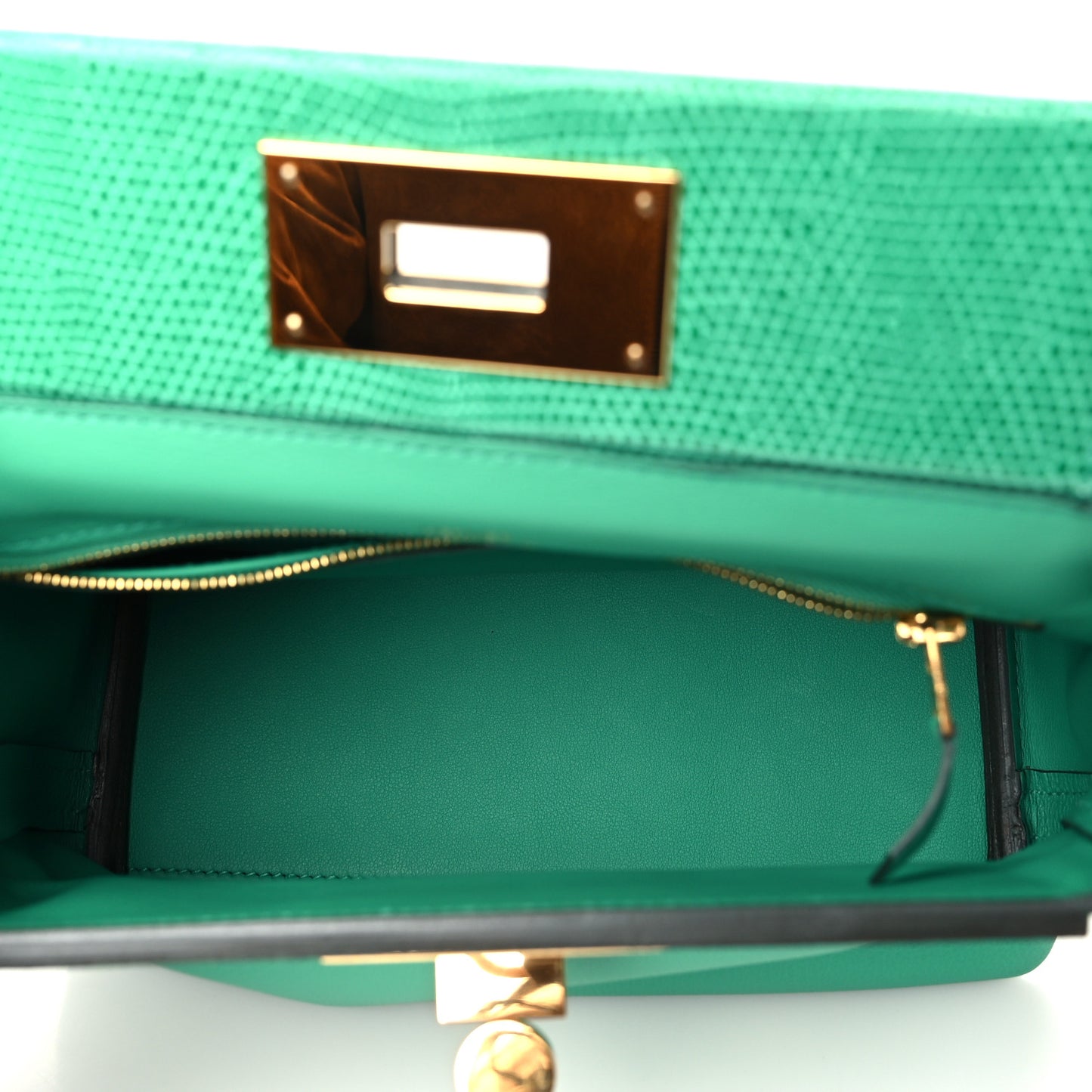 Evercolor Swift Lizard Touch 24/24 21 Menthe