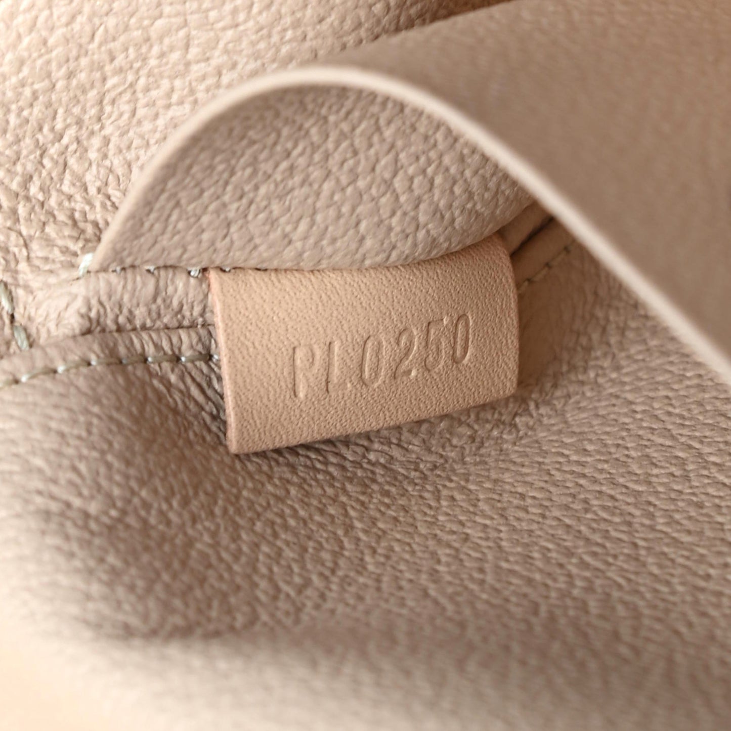 Monogram Nice Mini