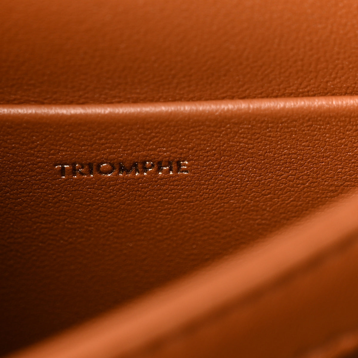 Celine Calfskin Triomphe Shearling Bag Natural Tan 7 of 10
