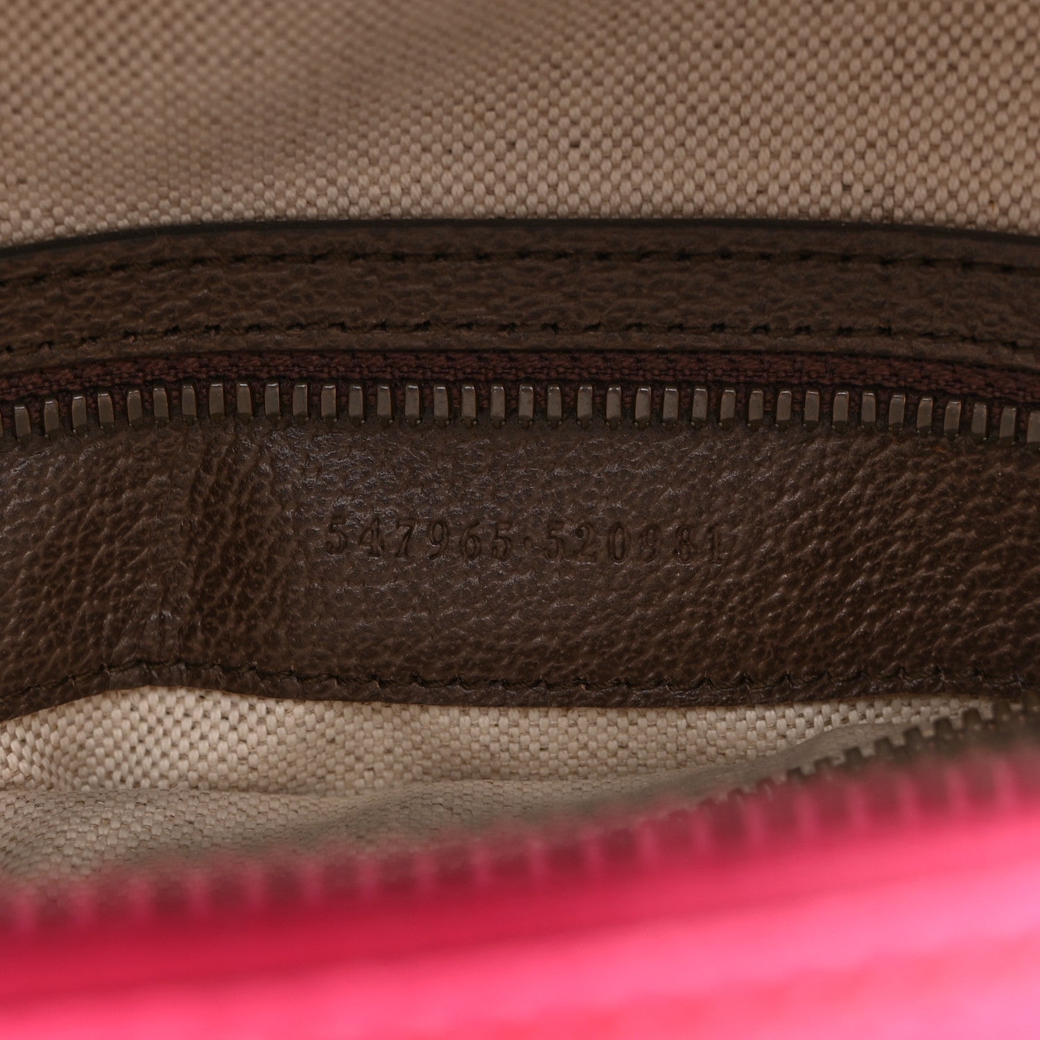 Gucci GG Supreme Monogram Textured Dollar Calfskin Web Small Ophidia Day Backpack Beige Ebony Fluorescent Fuchsia 7 of 11
