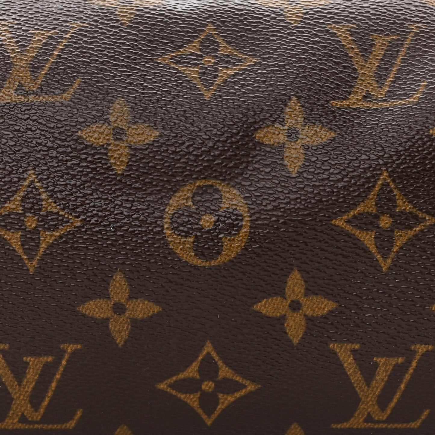 Monogram Papillon 30