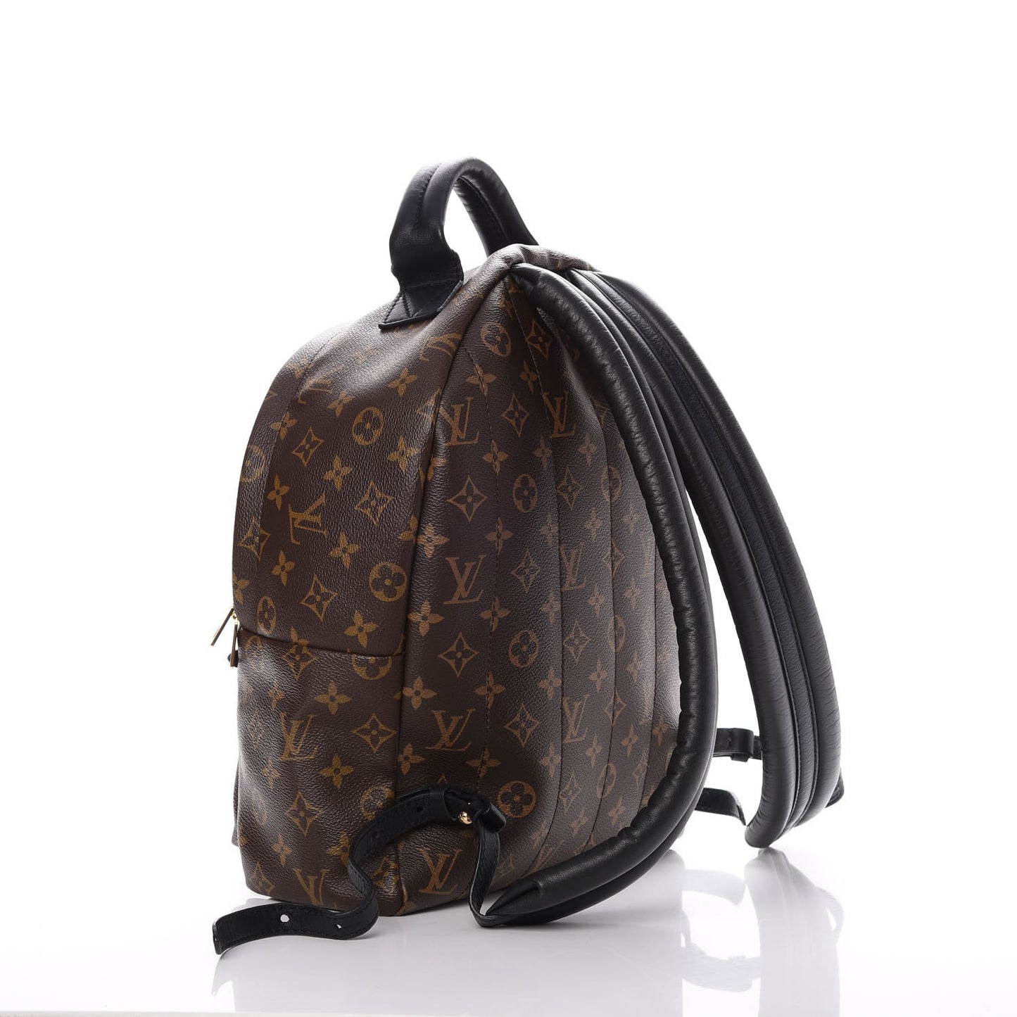 Monogram Palm Springs Backpack MM