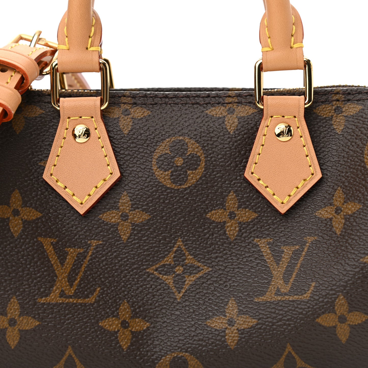 Monogram Nano Speedy Bandouliere