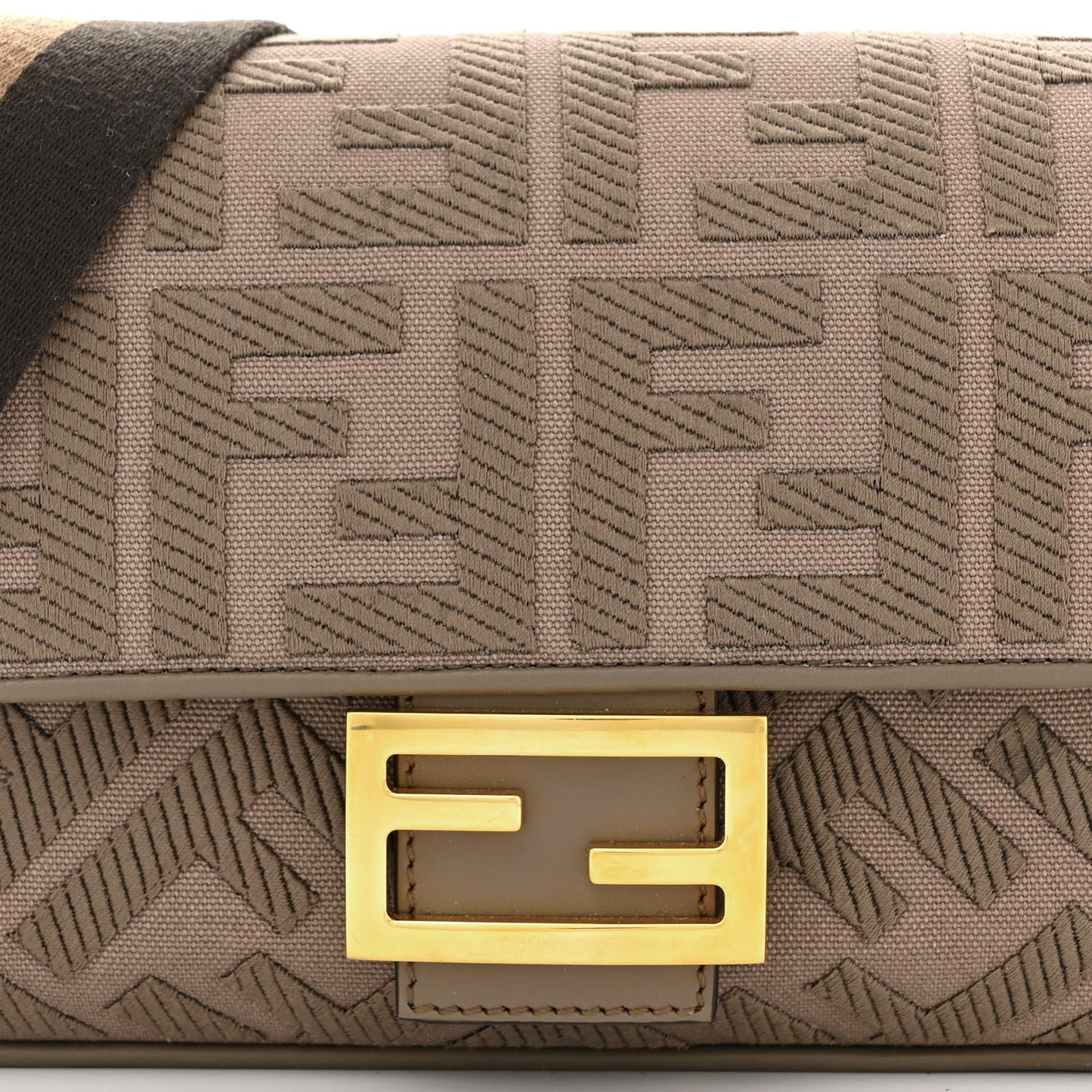 Canvas Vitello King FF Embroidered Baguette Nuvola