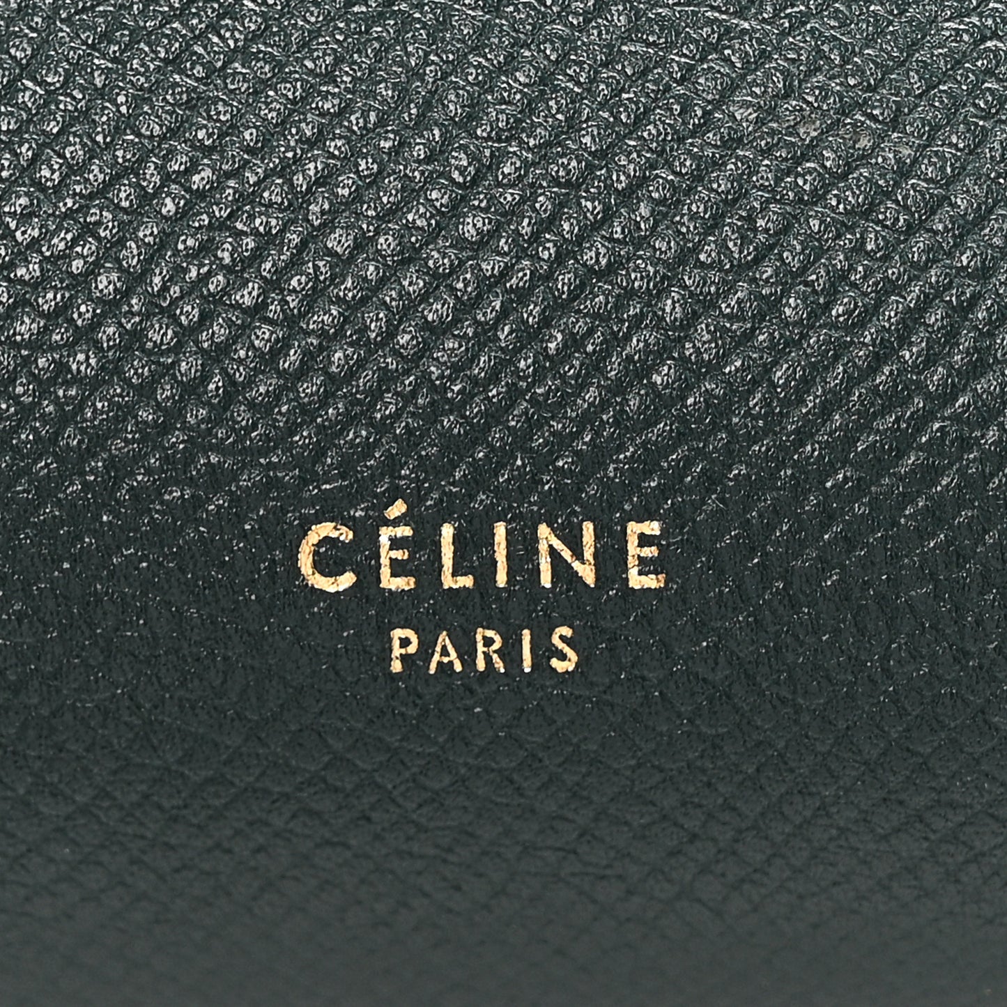 Grained Calfskin Micro Belt Bag Amazone