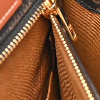 Celine Triomphe Canvas Calfskin Small Vertical Cabas Tan 6 of 10