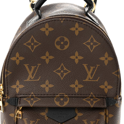 Louis Vuitton Monogram Palm Springs Backpack Mini 7 of 10