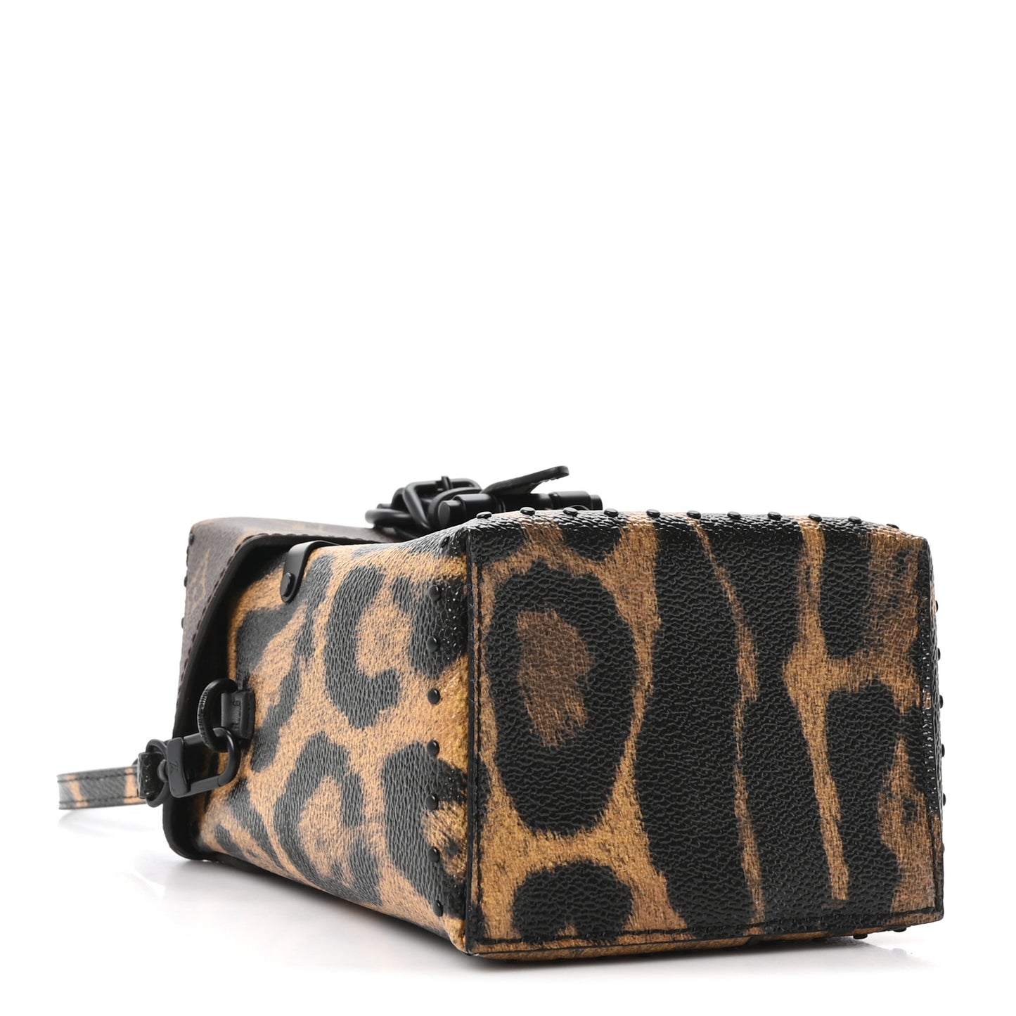 Monogram Wild Animal Print Camera Box Black