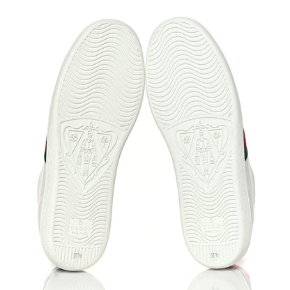 Gucci Calfskin Ayers Bee Embroidered Womens Ace Sneakers 37.5 White Green 5 of 9