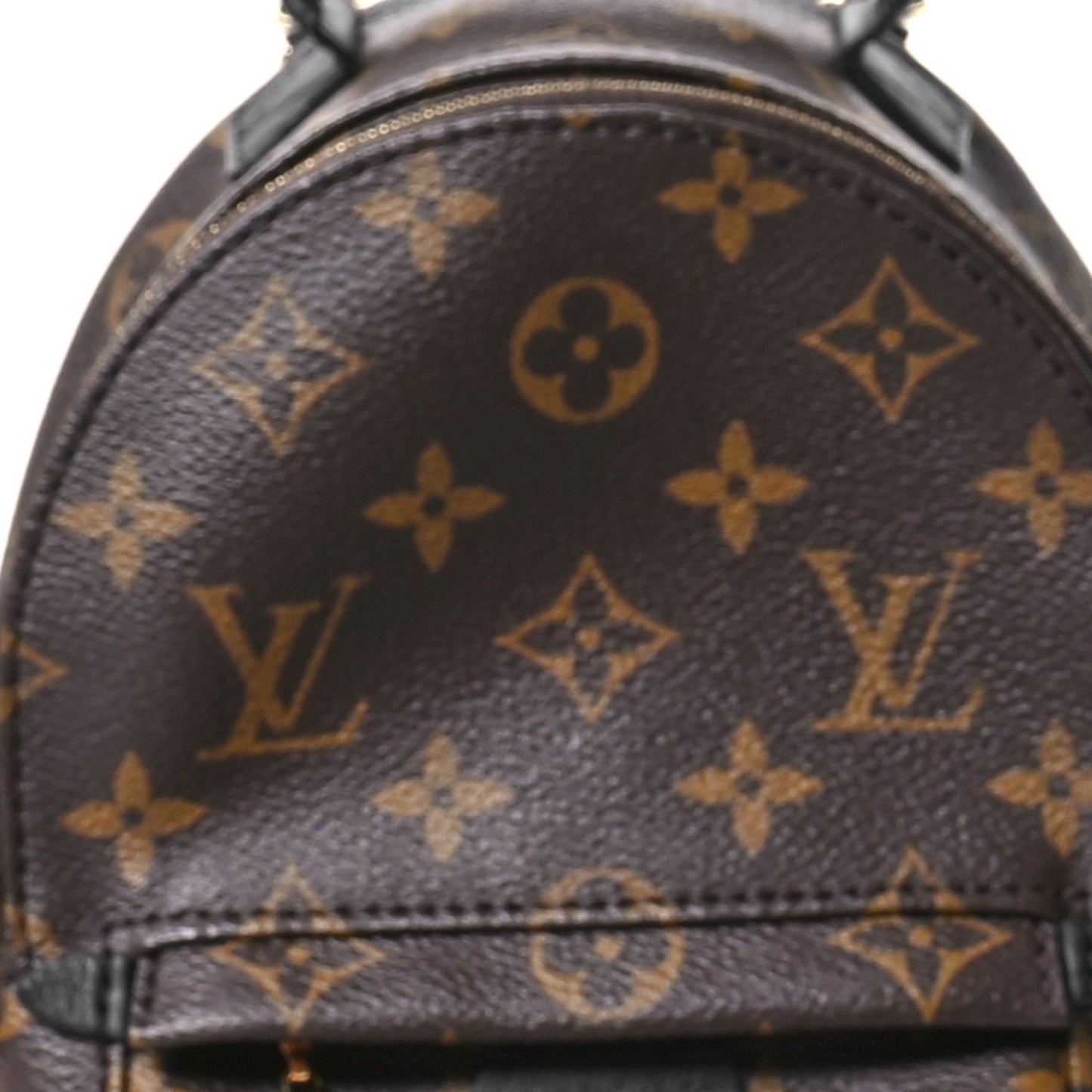 Monogram Palm Springs Backpack Mini
