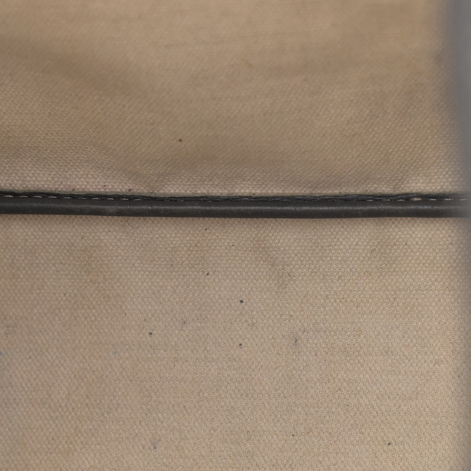 Goyard Goyardine Saint Louis PM Grey 11 of 22