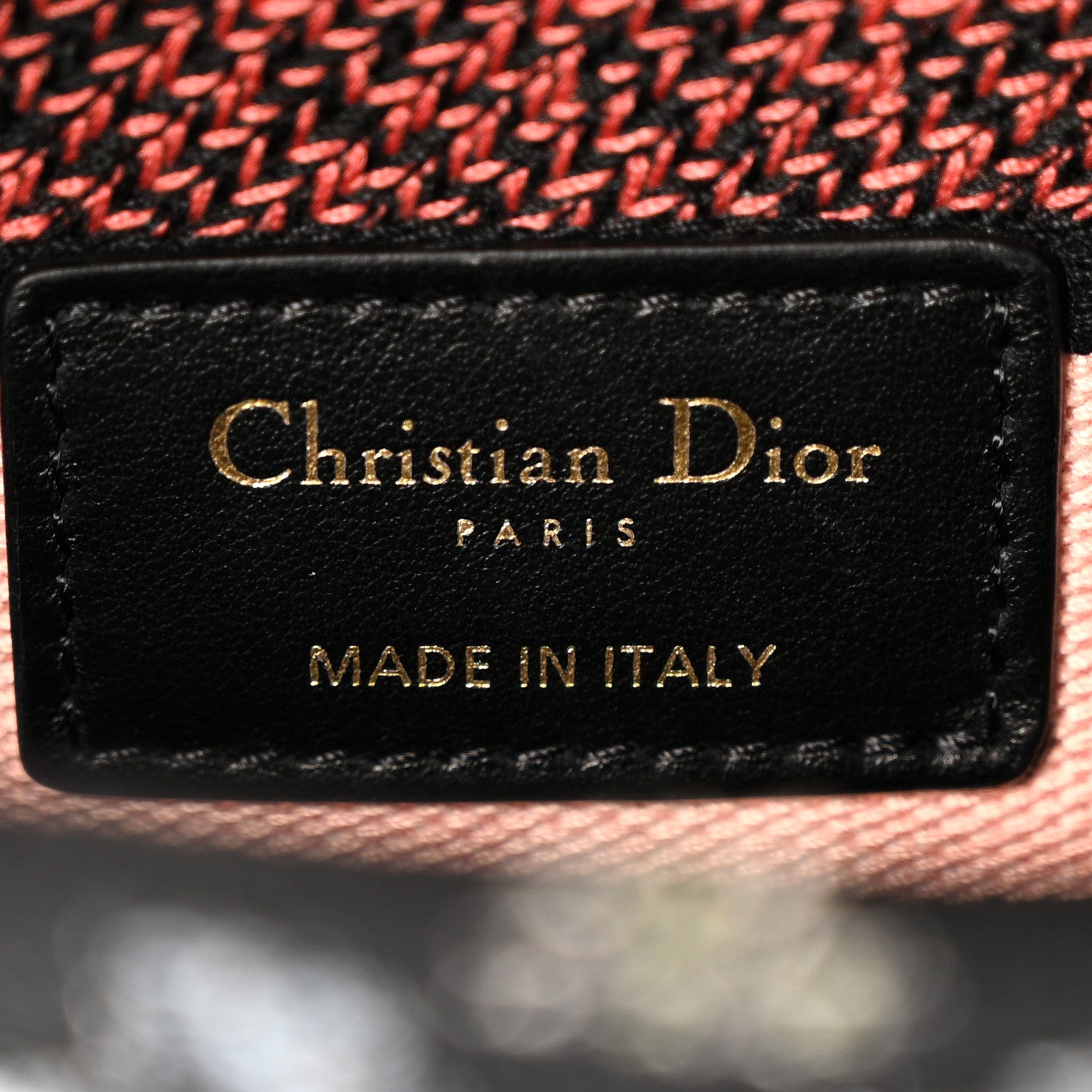 Christian Dior Canvas Cabinet De Curiosites Embroidered Medium