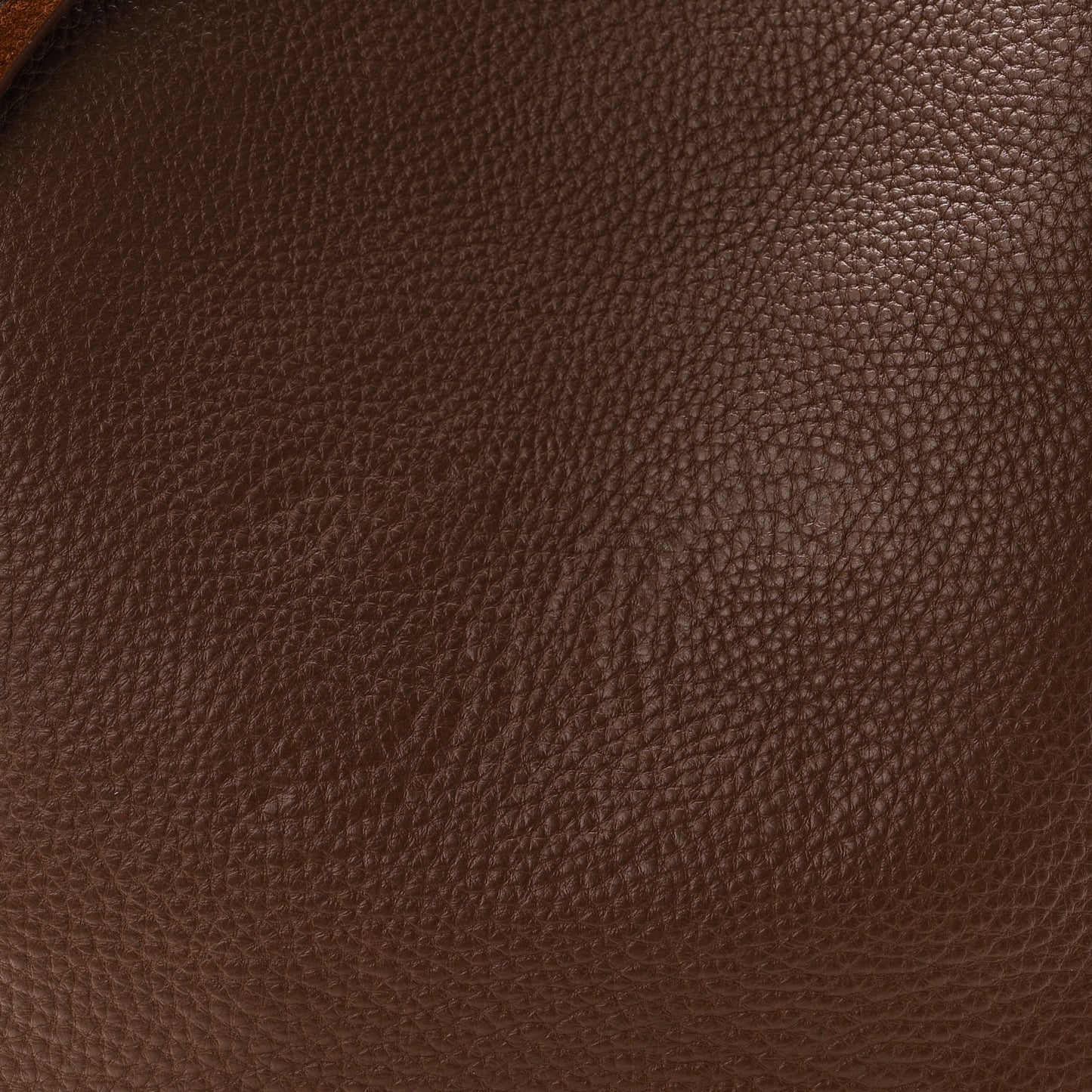 Suede Calfskin Reversible Triomphe Bucket Bag Brown