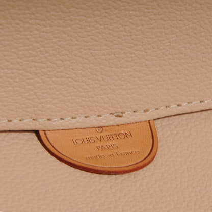 Louis Vuitton Monogram Nice 7 of 10