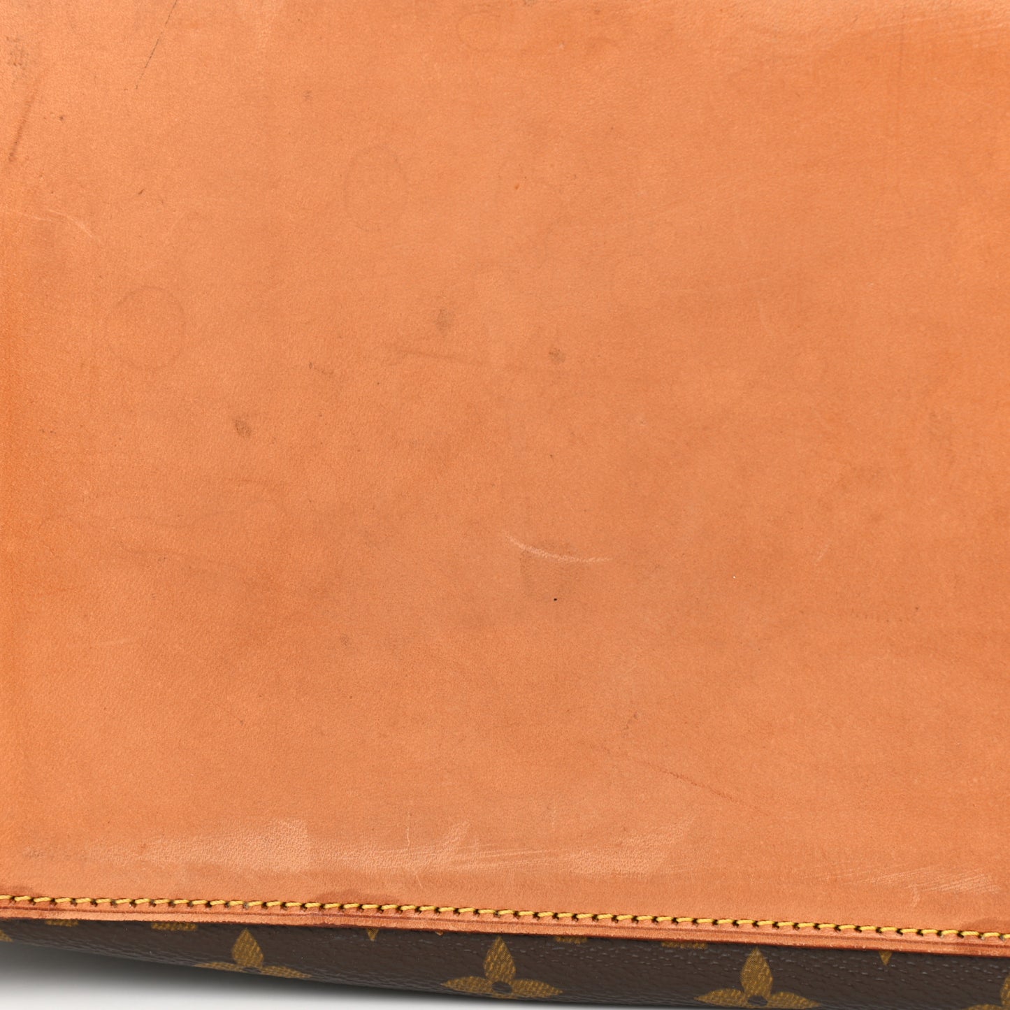 Monogram Cabas Alto