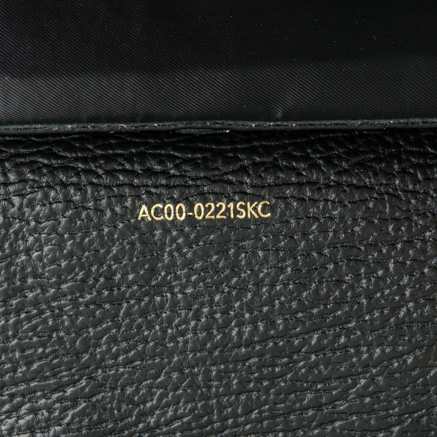 3.1 Textured Calfskin Large Pashli Satchel Black