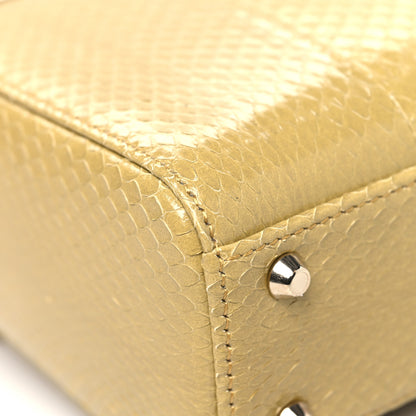 Christian Dior Snakeskin Mini Lady Dior Beige 8 of 11