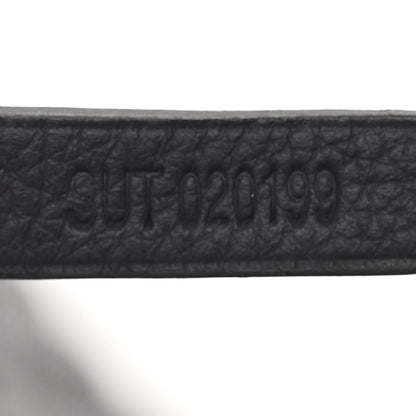 Goyard Goyardine Saint Louis GM Grey 9 of 12
