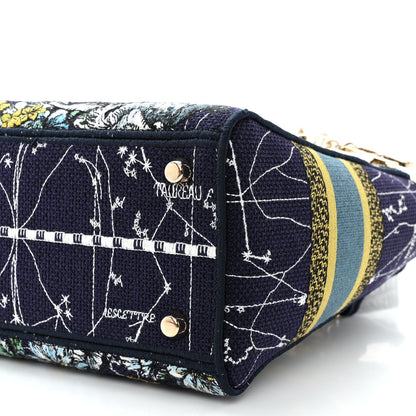 Christian Dior Canvas Embroidered Zodiac Medium Lady D-Lite Blue Multicolor 10 of 12