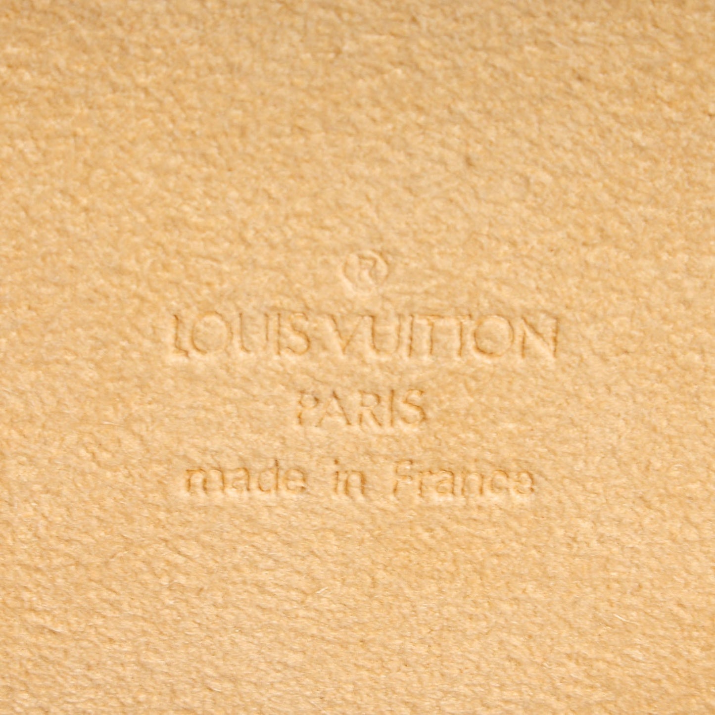 Monogram Pochette Florentine XS