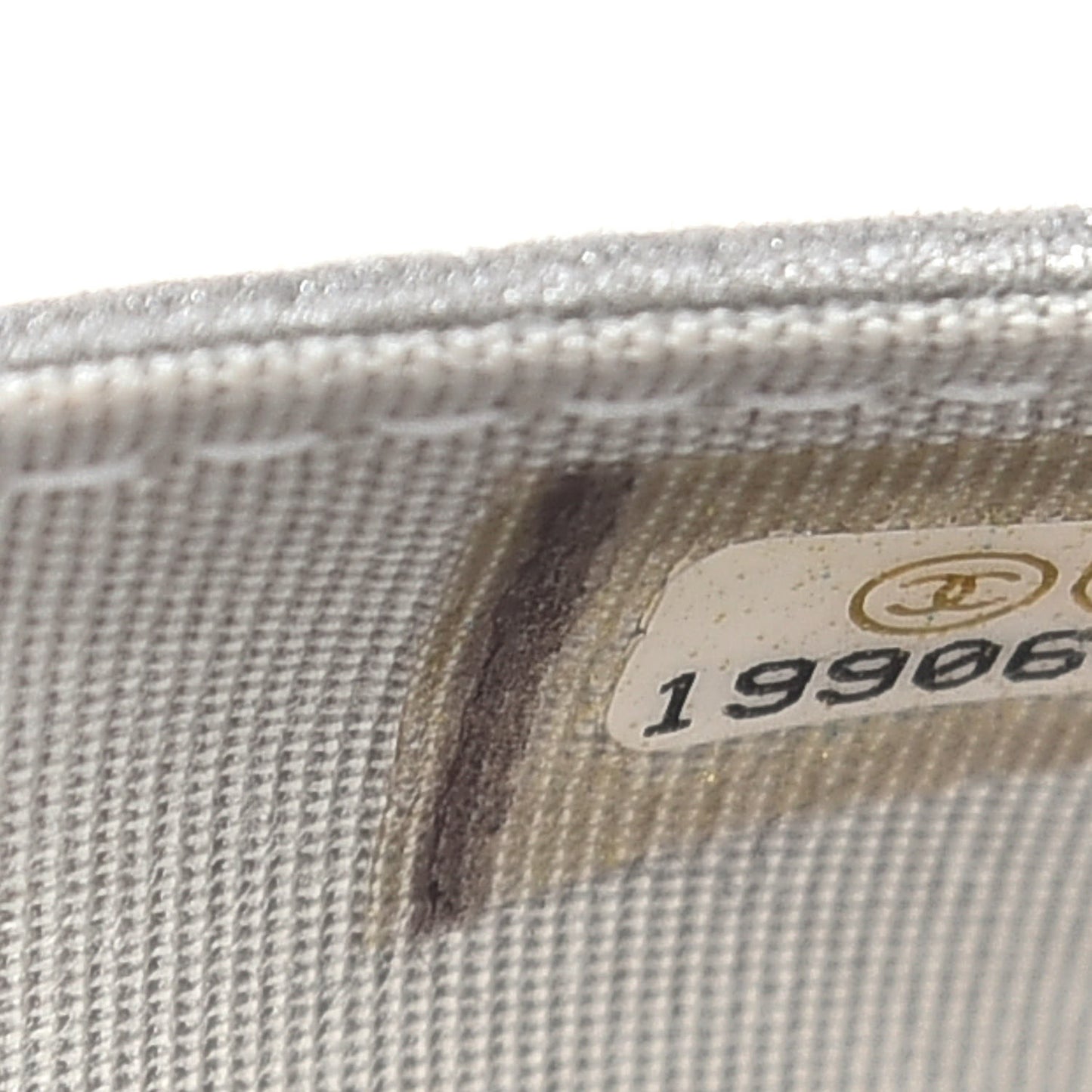 Metallic Galuchat Stingray Lambskin Boy Wallet On Chain WOC Silver