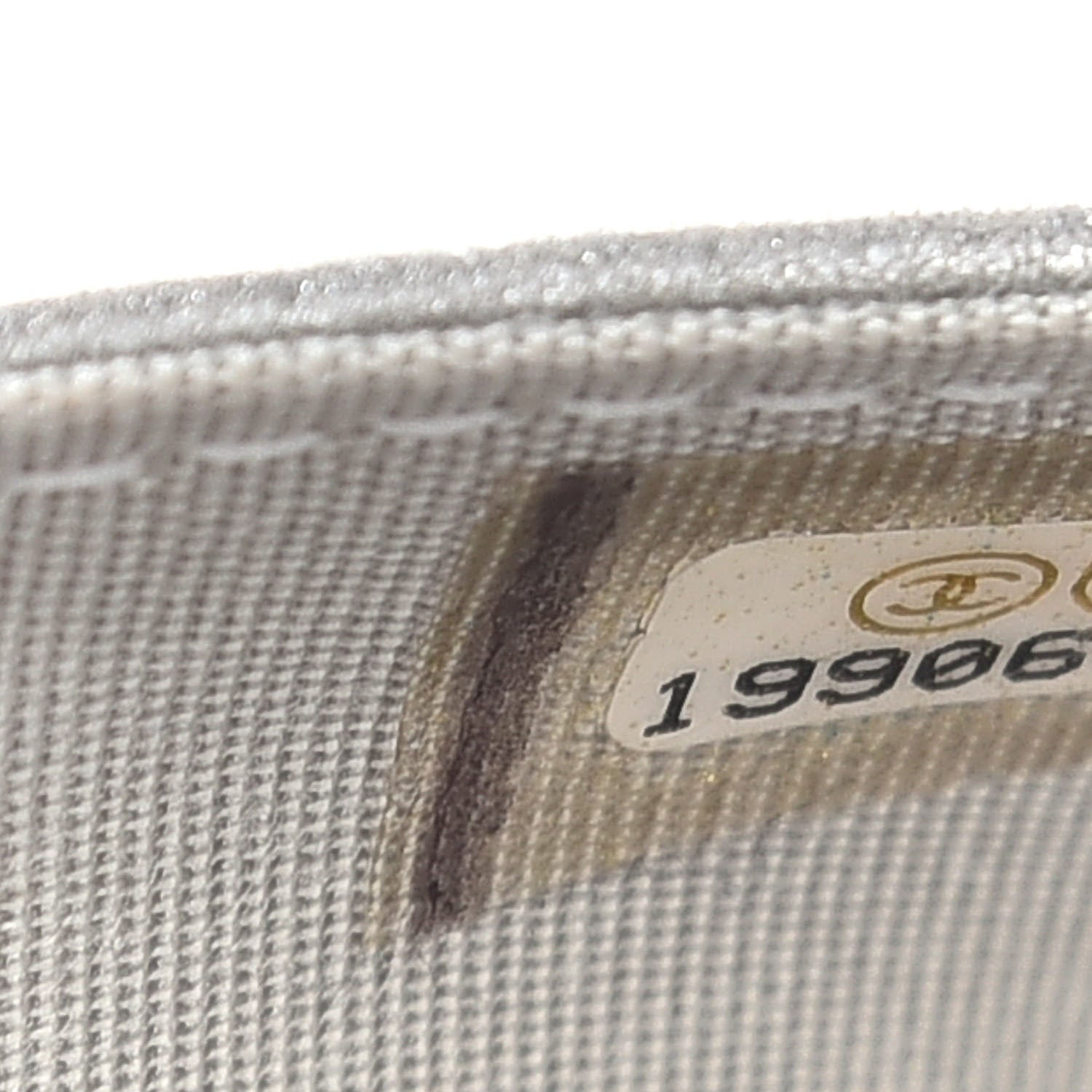 Chanel Metallic Galuchat Stingray Lambskin Boy Wallet On Chain WOC Silver 7 of 14